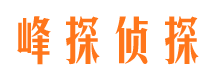 谢家集峰探私家侦探公司